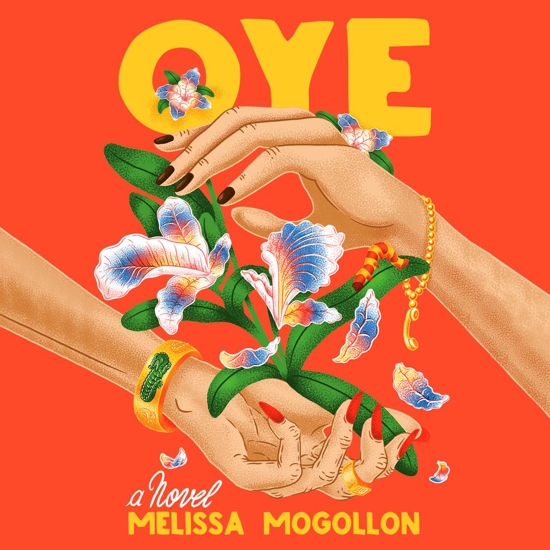 Oye: A Novel cover