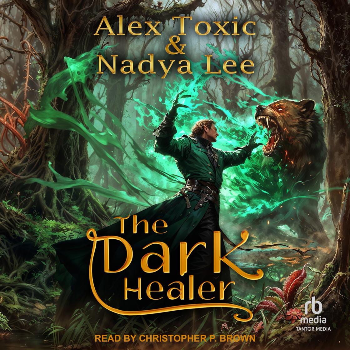The Dark Healer cover