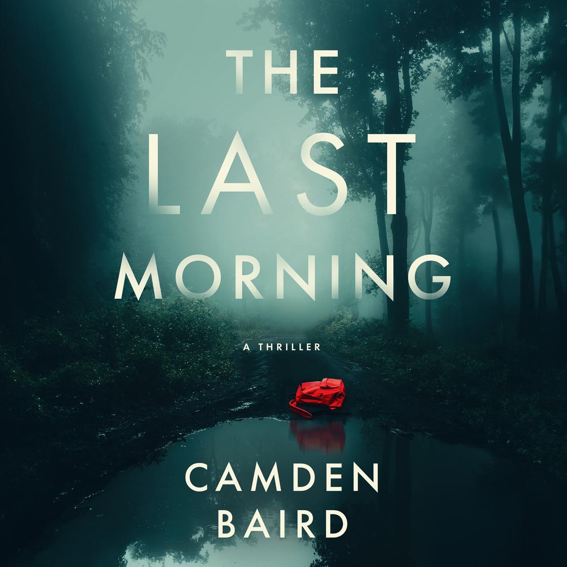 The Last Morning: A Thriller cover