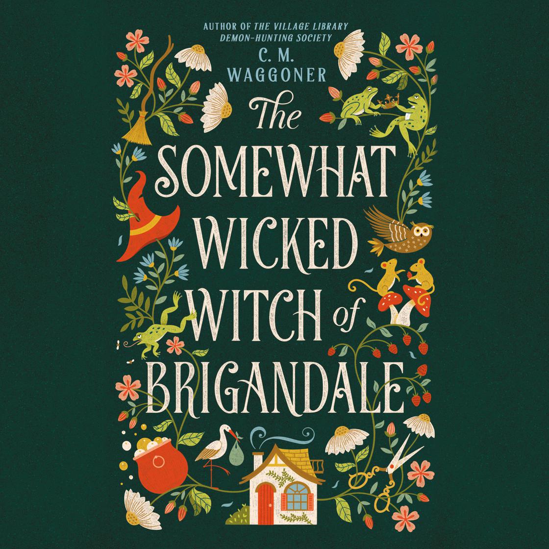 The Somewhat Wicked Witch of Brigandale cover