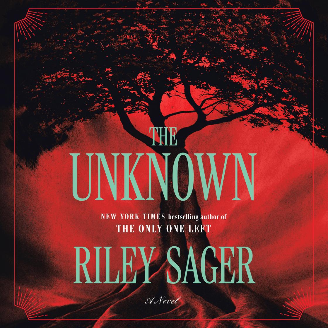 The Unknown: A Novel cover